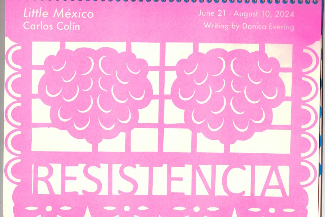 Cover image for Little Mexico publication.