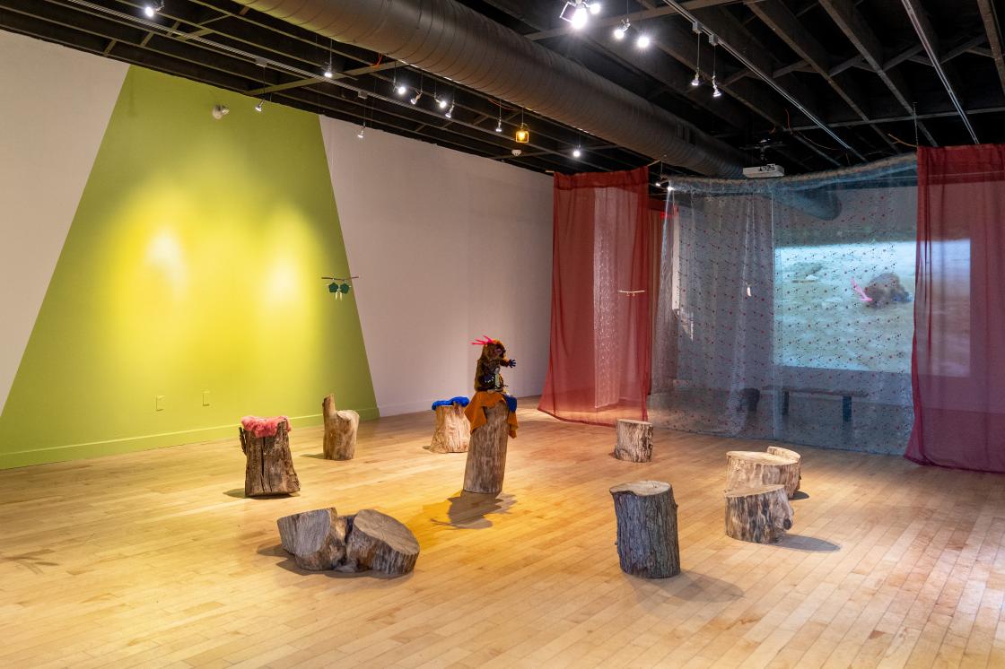 This is a photo from our exhibition, Prince Sipihko, Sailor Wapakwiniy. There's a beaver-like creature sitting on a stump surrounded by other stumps in the centre of the room. Red and light blue curtains mask a projection of a video on the far wall.