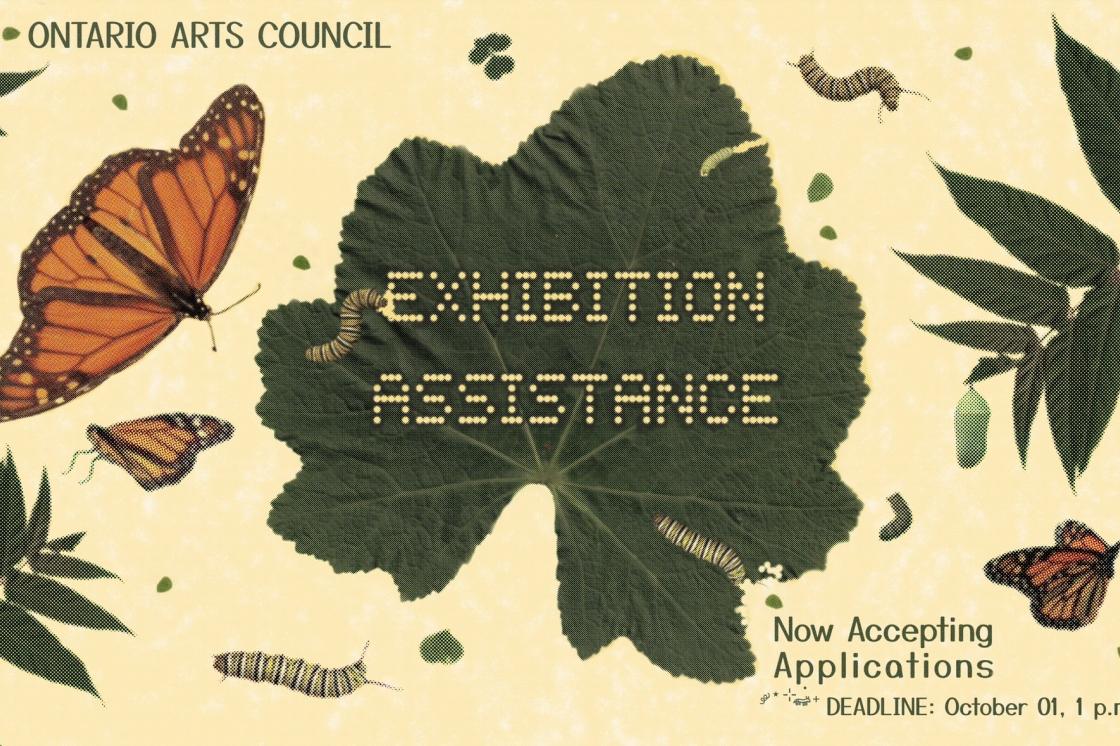 A pale yellow background with green leaves, monarch butterflies and catterpillars scattered around. The banner says "Ontario Arts Council - Exhibition Assistance. Now Accepting Applications. Deadline: October 1, 1pm EST." 