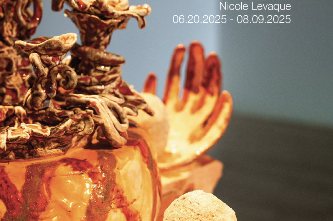 The cover shot for the "You and I are Earth" publication by Nicole Levaque.
