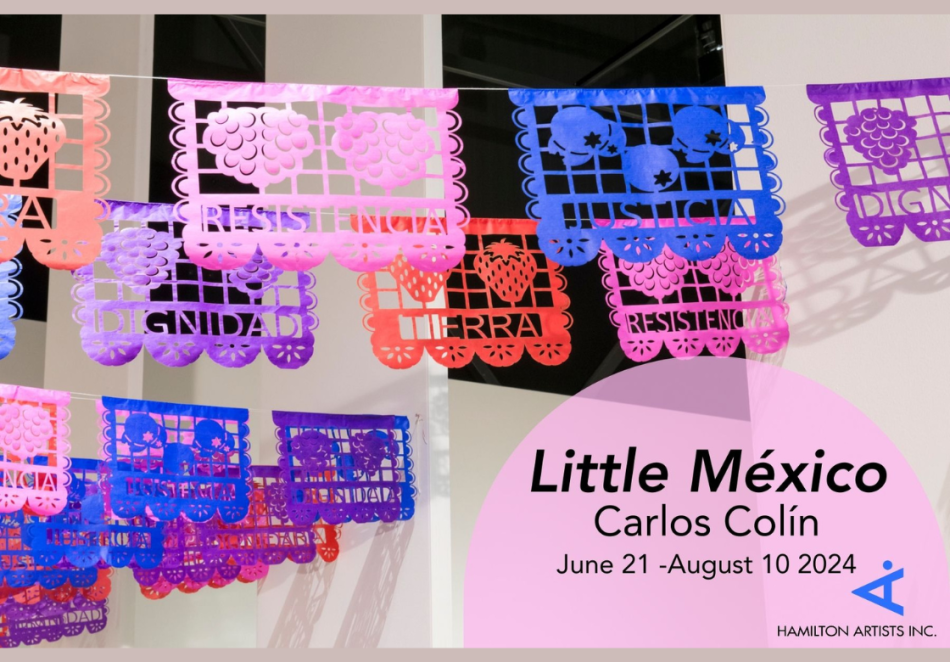 The image is a photo of the installation view of the work "Festivities on Sunny Days" by Carlos Colín. The work features five sets of rectangular plastic hanging flags on lines. The flags are red, pink, purple, and blue. Each flag has pieces cut from them to create a floating stencil effect, where negative space creates and image. Each flag is transformed into a window-like structure with various fruit, with a word beneath. The words used for the flags are "Tierra", "Dignidad", "Resistencia", and "Justicia"