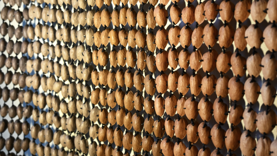 There Was and How Much There Was by Natasha Tobias Cliche. The work is Pistachio shells naturally dyed with onion skins and iron, waxed linen.